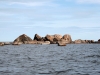 Stenformationer på kusten