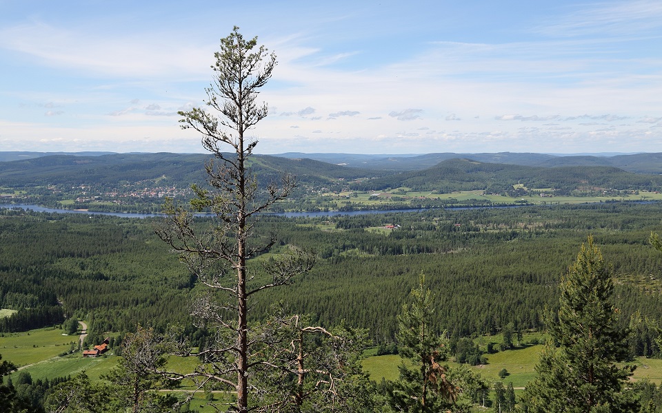 Utsikt från Järvsö klack mot Ljusnans dalgång