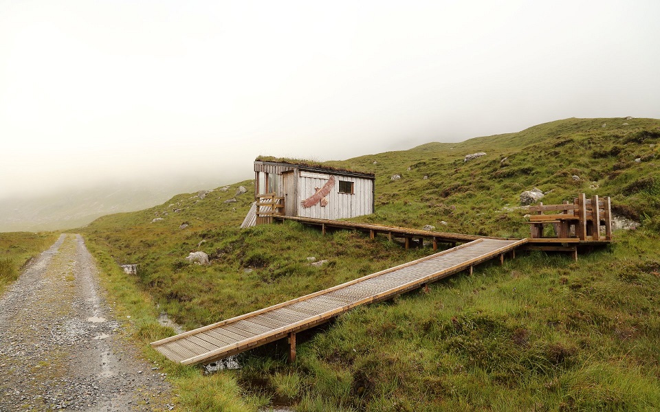 Harris Eagle Observatory