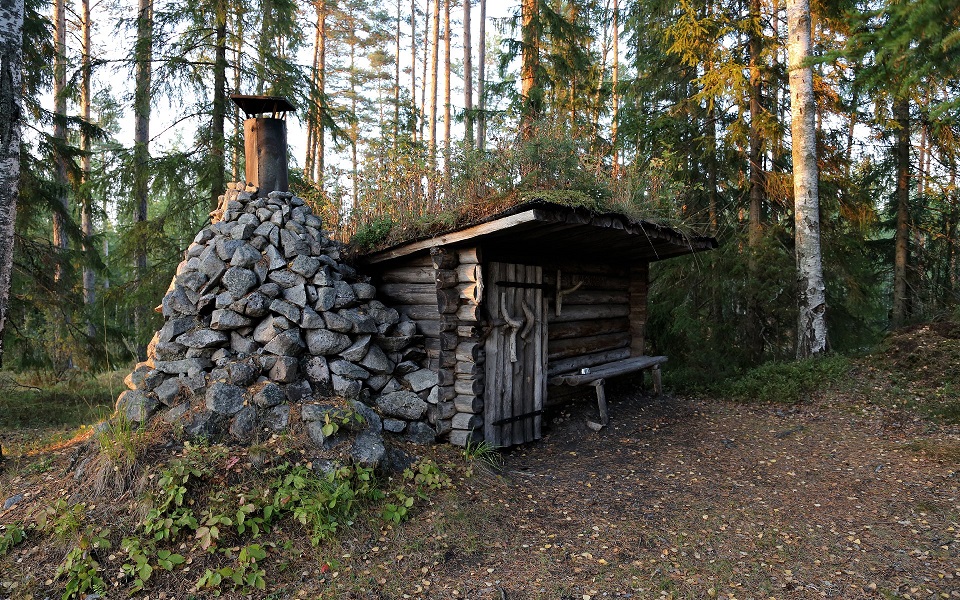 Skogskoja