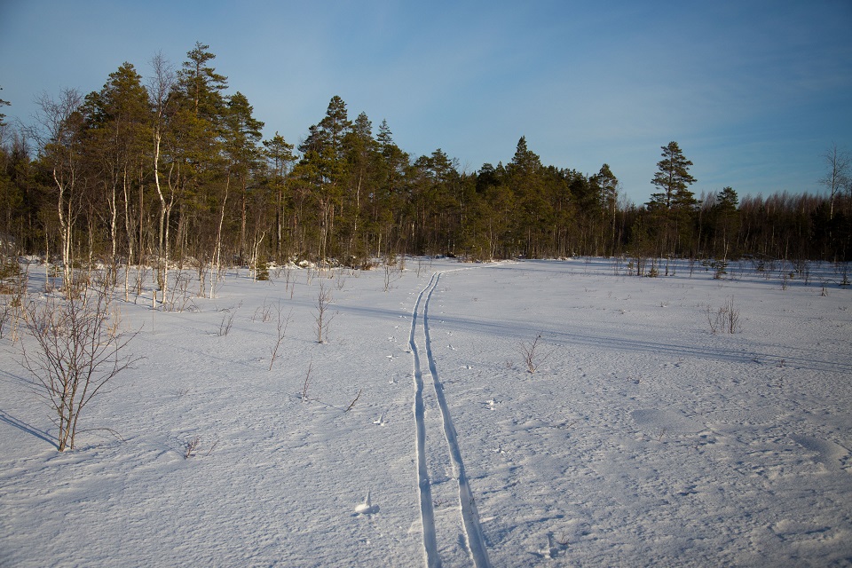 Skidspår