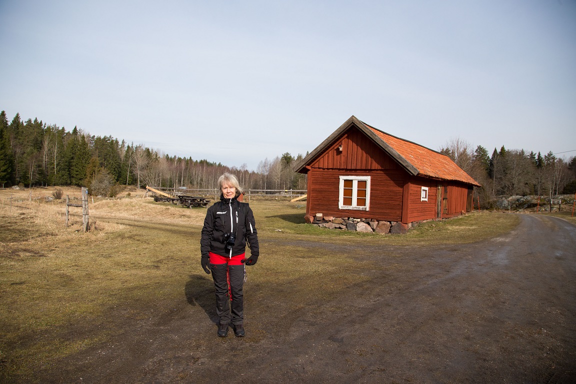 Solen kommer med försiktig värme