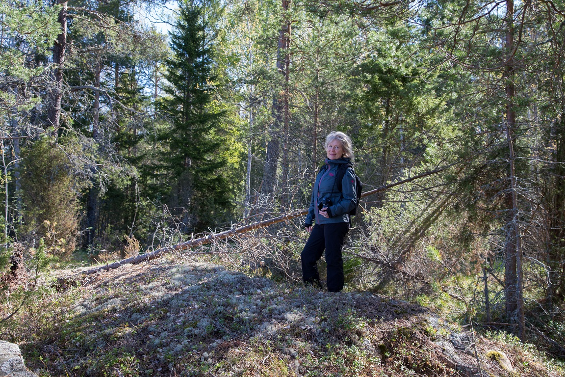 Gunsan trivs i skogen