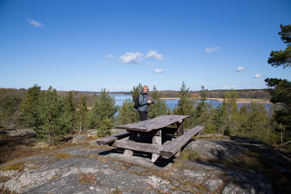 Vid Mälaren