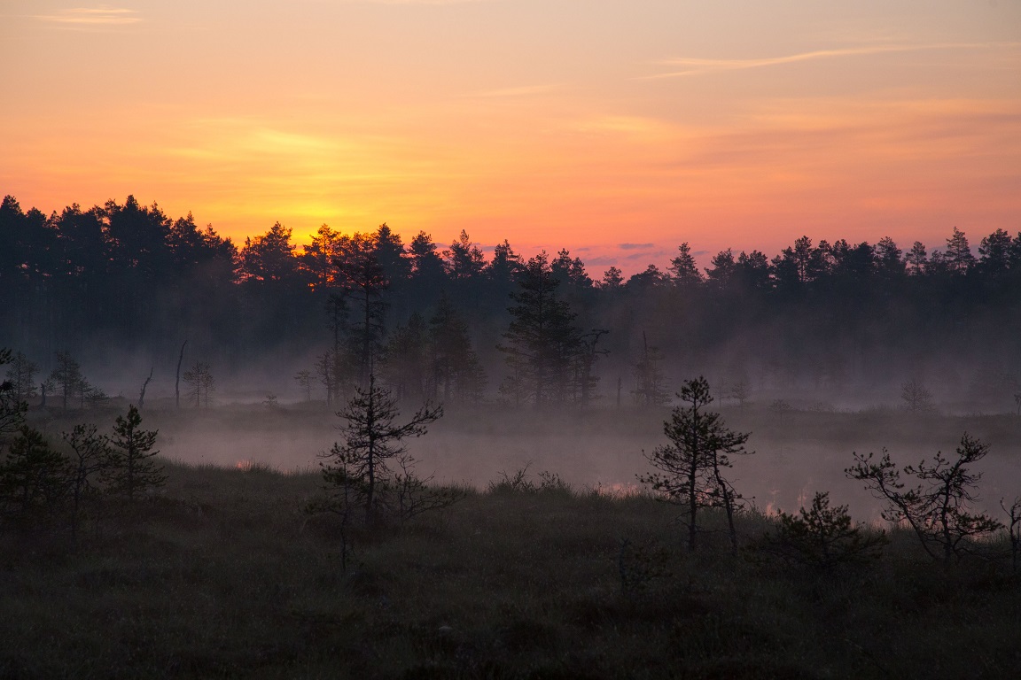 Magisk och mystisk morgon