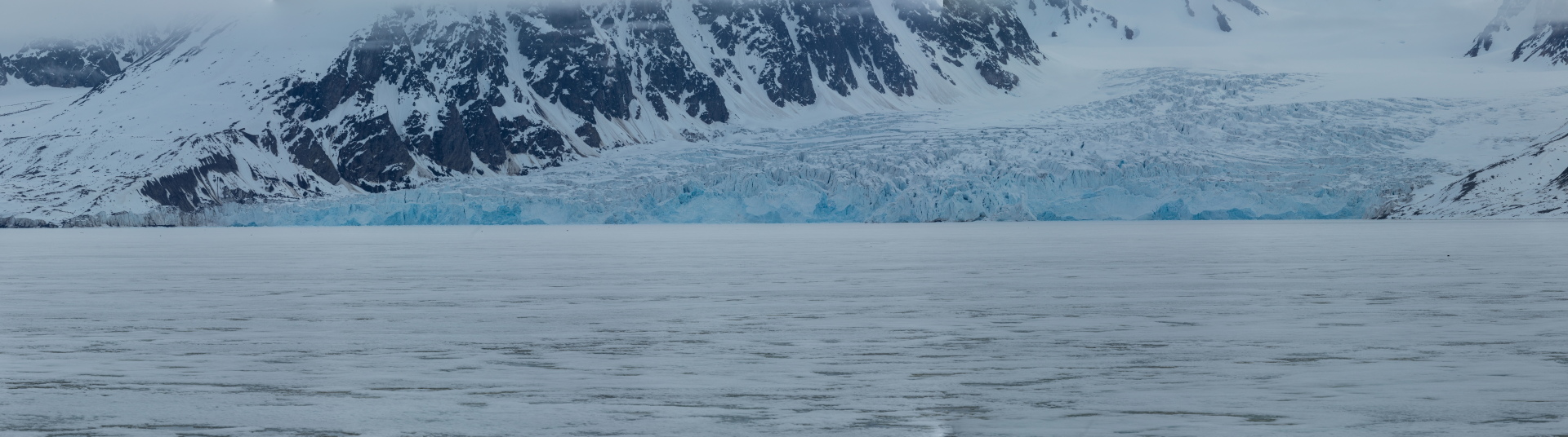 Panorama över Monacobreen