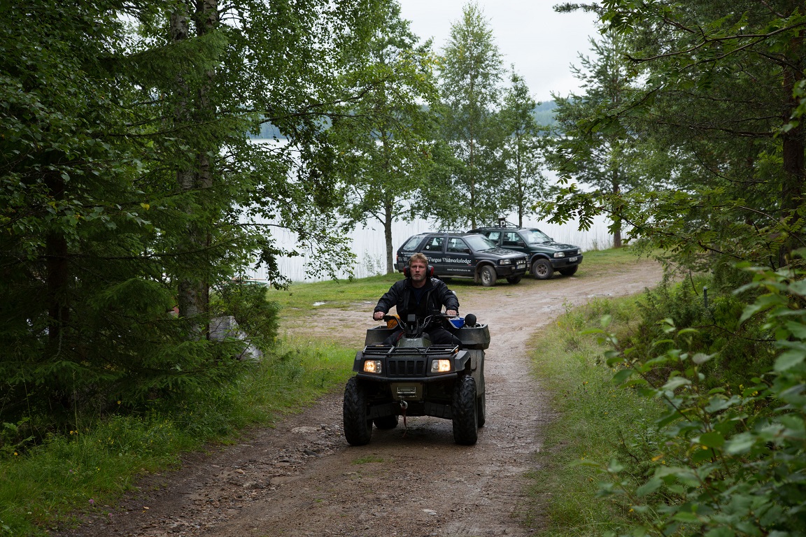 Björngodis på väg