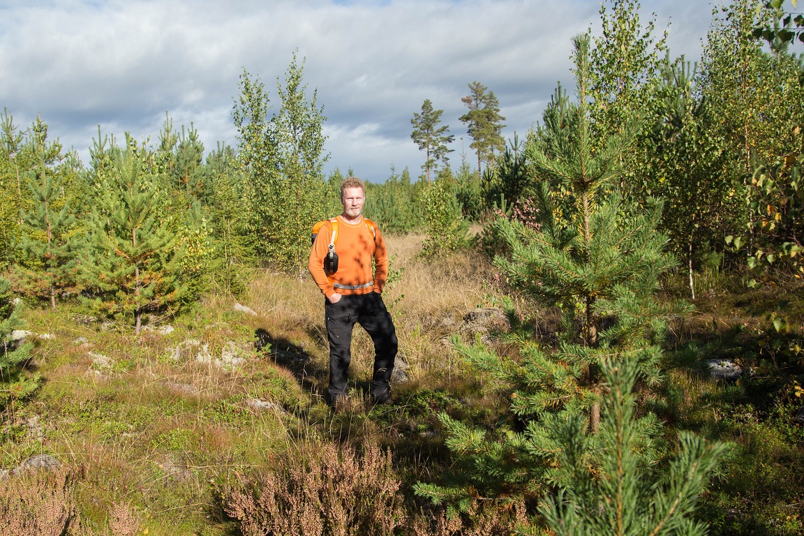 Skogen håller på att återhämta sig