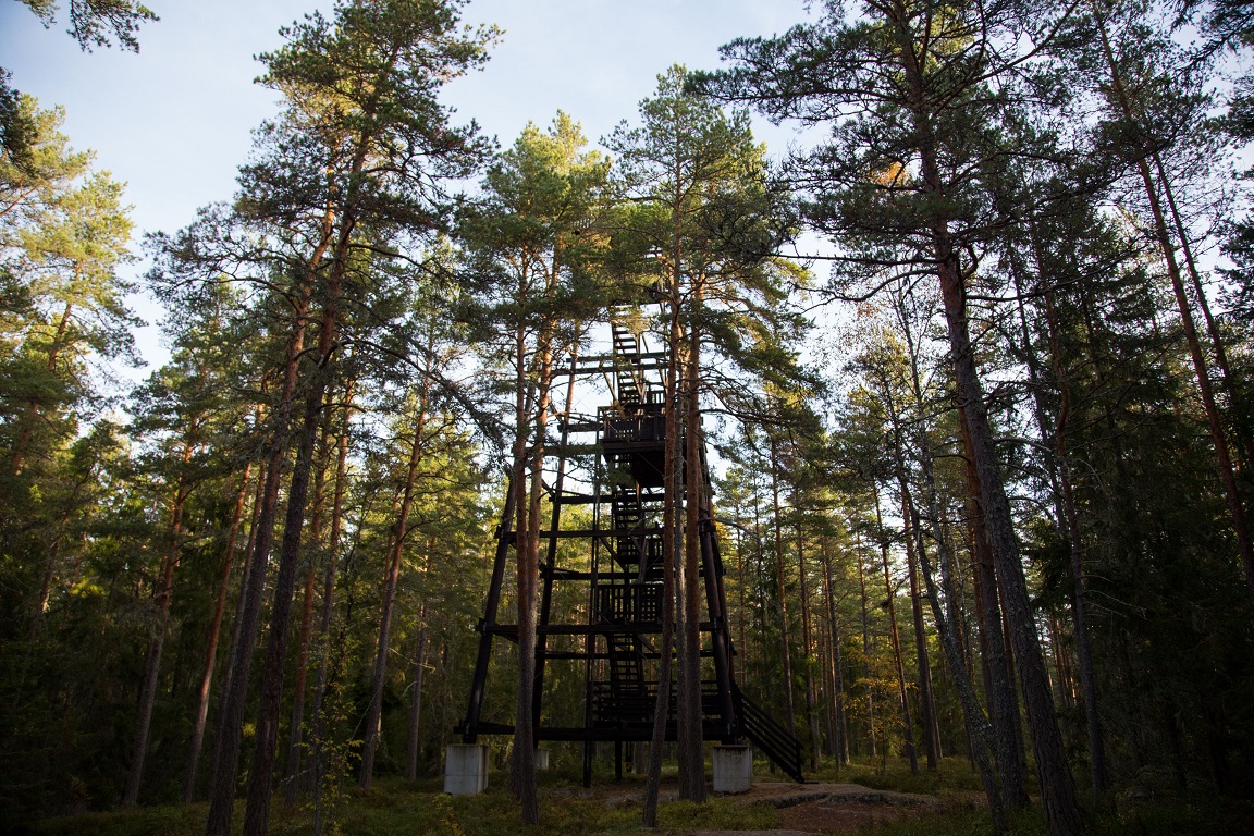 Utkikstornet i Skekarsbo (20 meter)