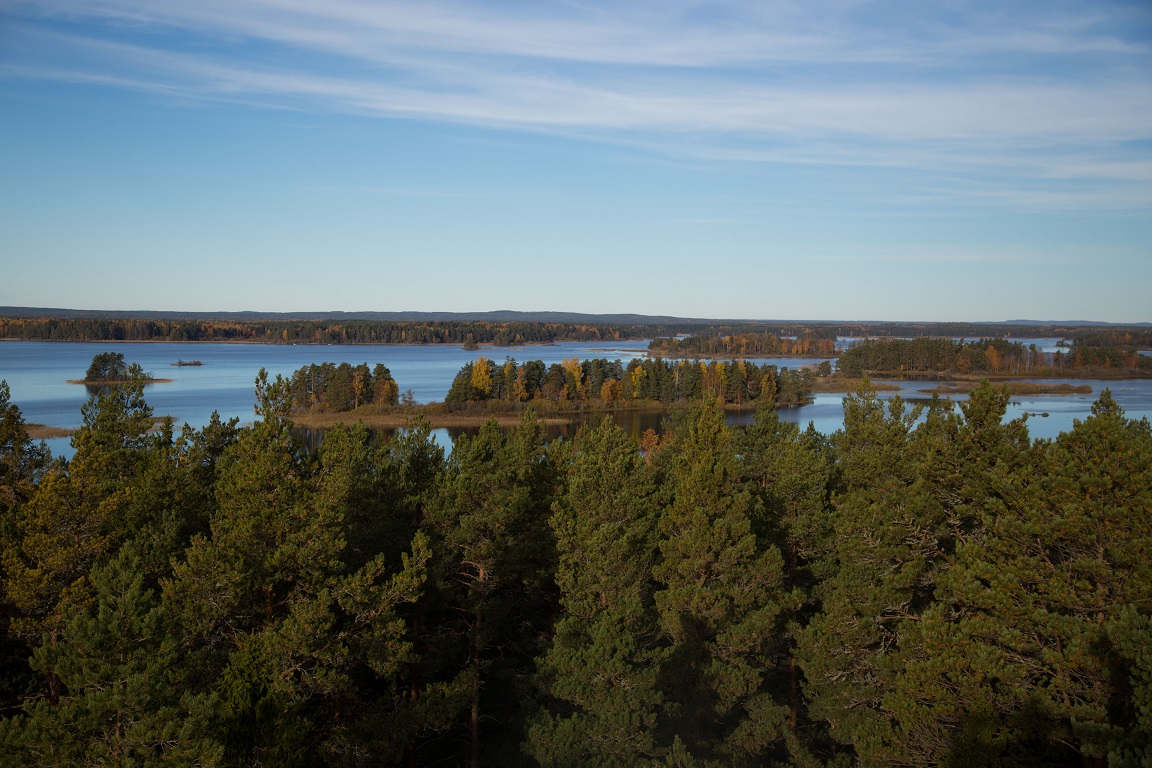 Färnebofjärden