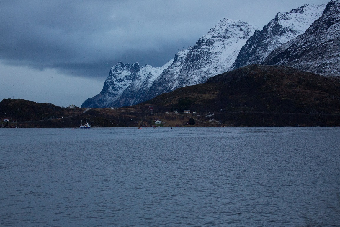 Kaldfjord