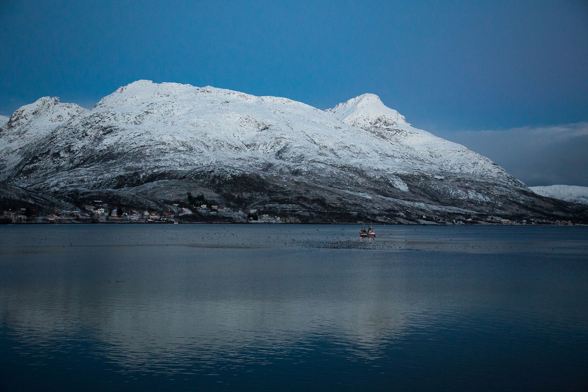 Kaldfjord