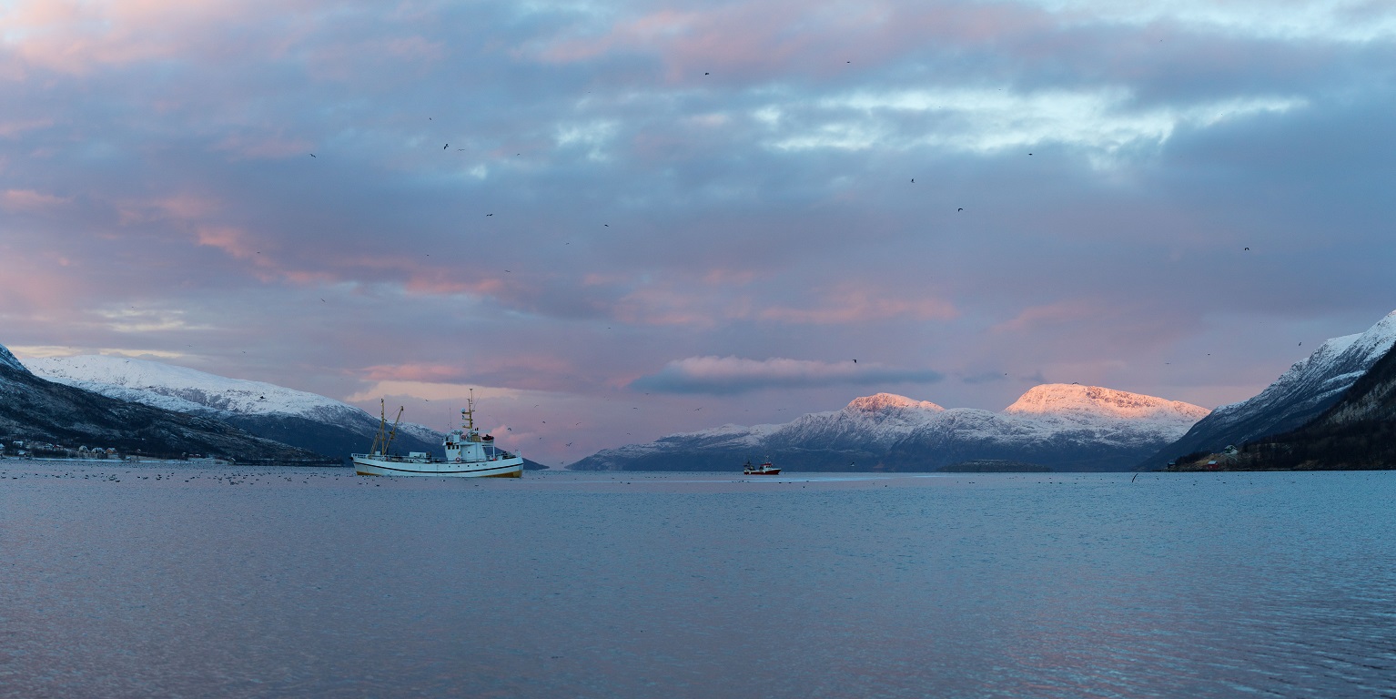 Kaldfjord