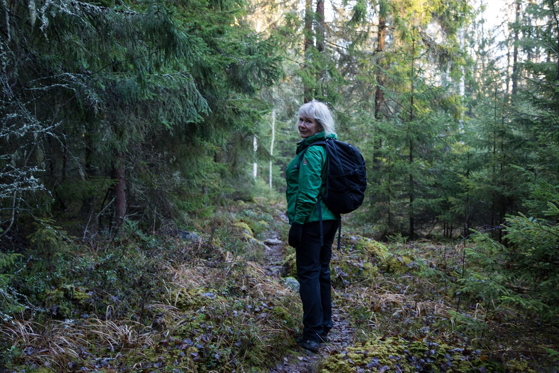 Gunsan i granskogen