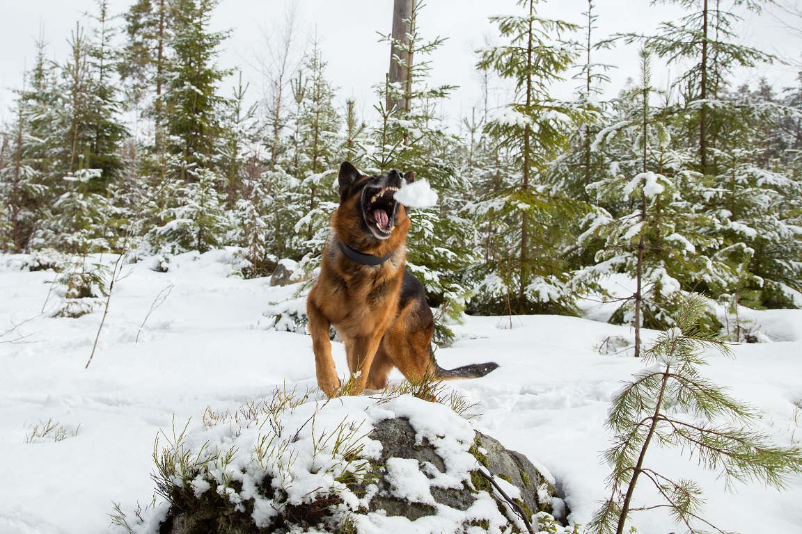 Kasta mer snö...