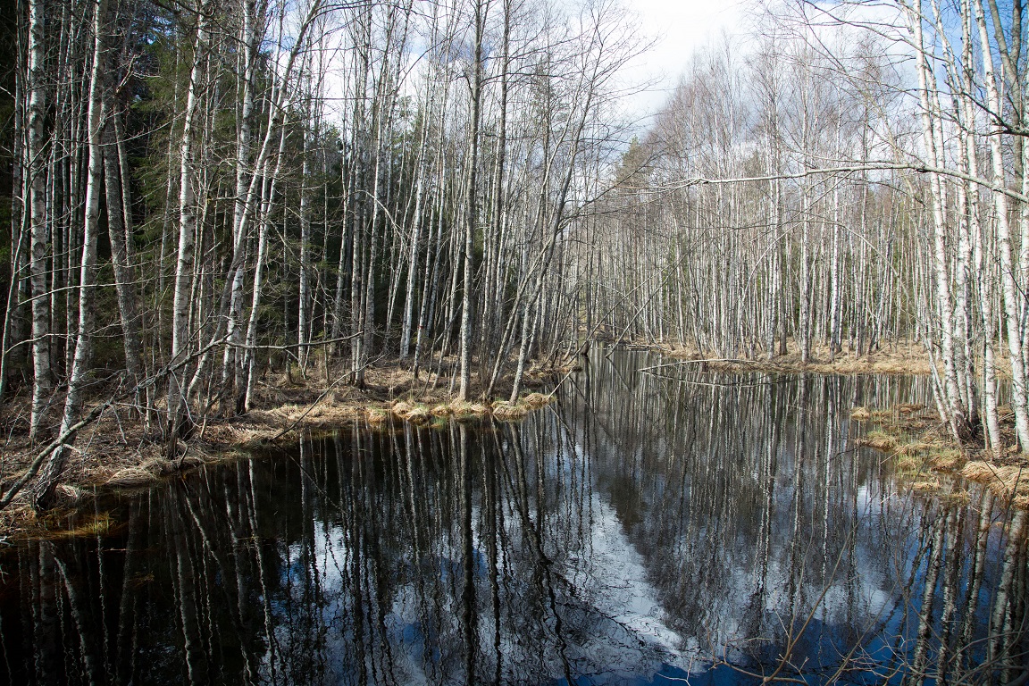 Ån full av vatten