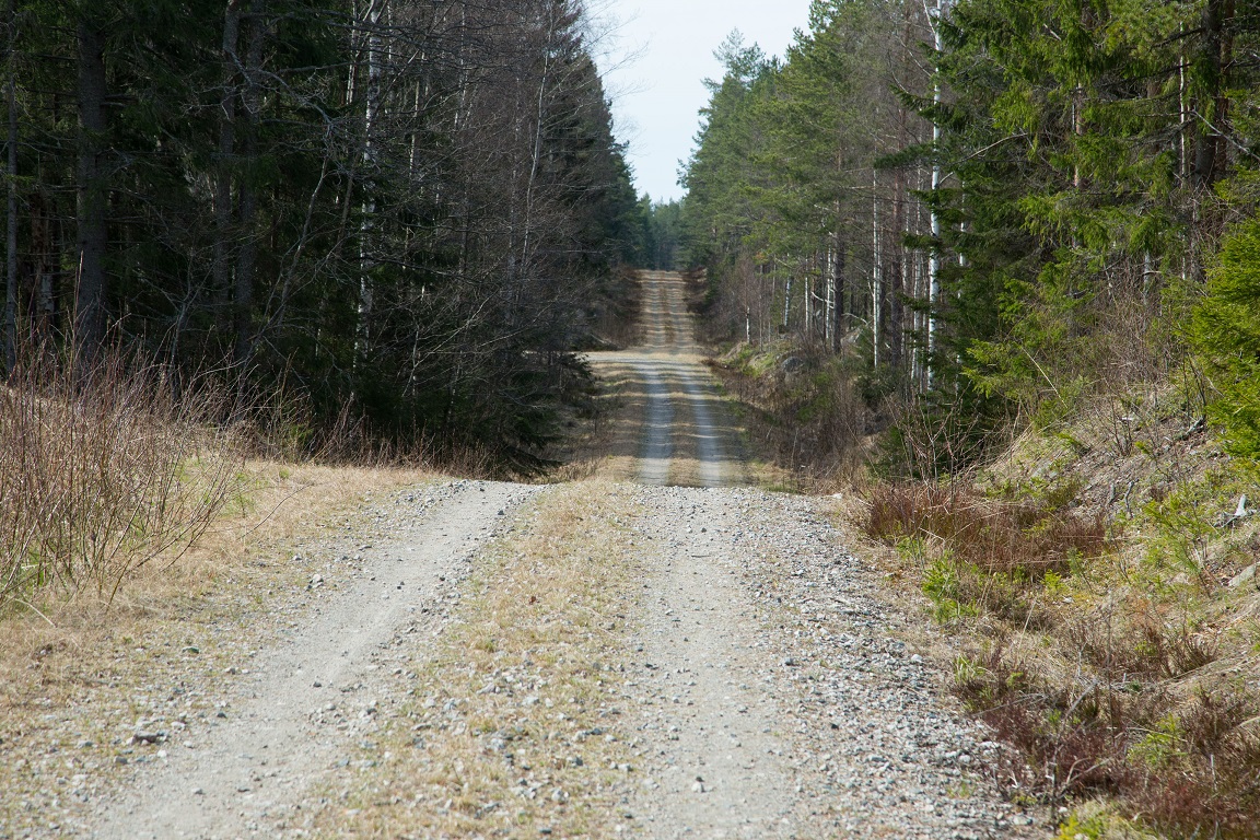 Nivåskillnad