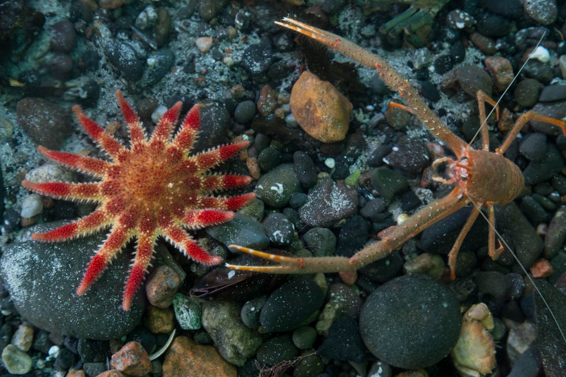 Mull Aquarium