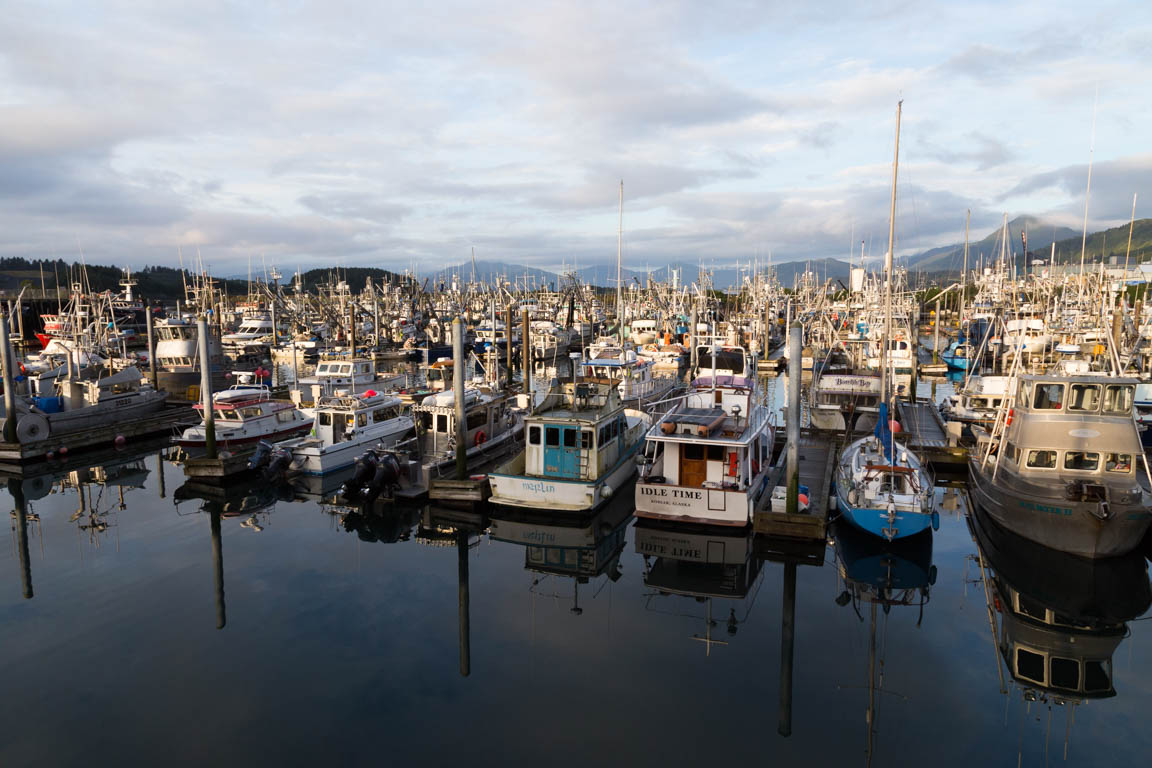 Del av hamnen med fiskebåtar på ön Kodiak