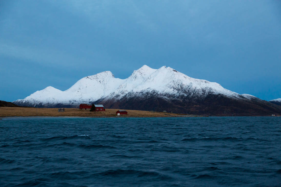 Vyer från fjorden