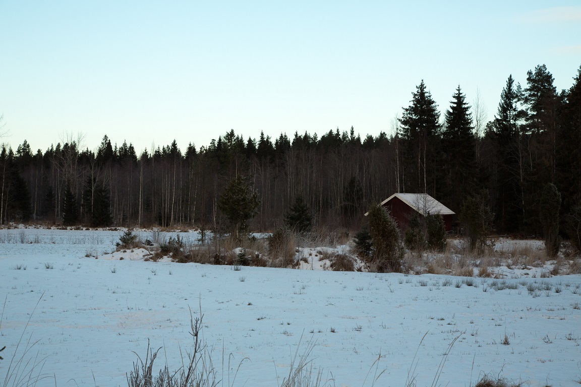 En tidig morgon vid den gamla ängen