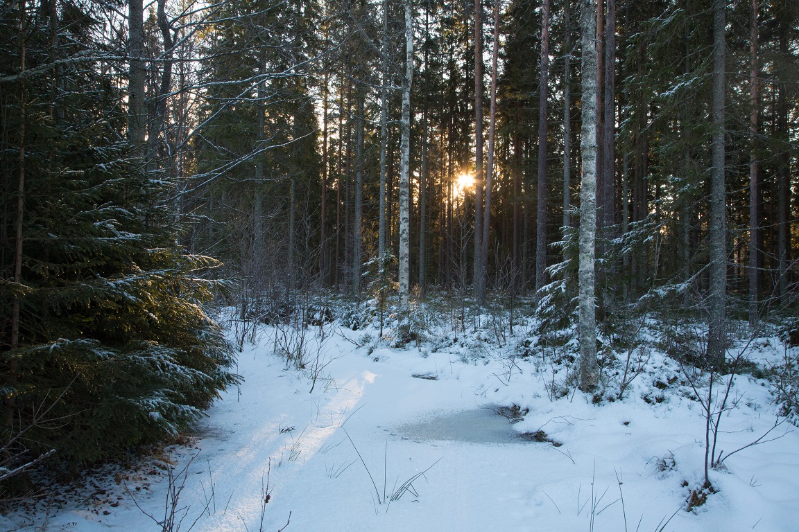 Solen är på väg upp