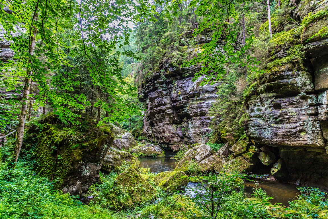 Gorges of Kamenice