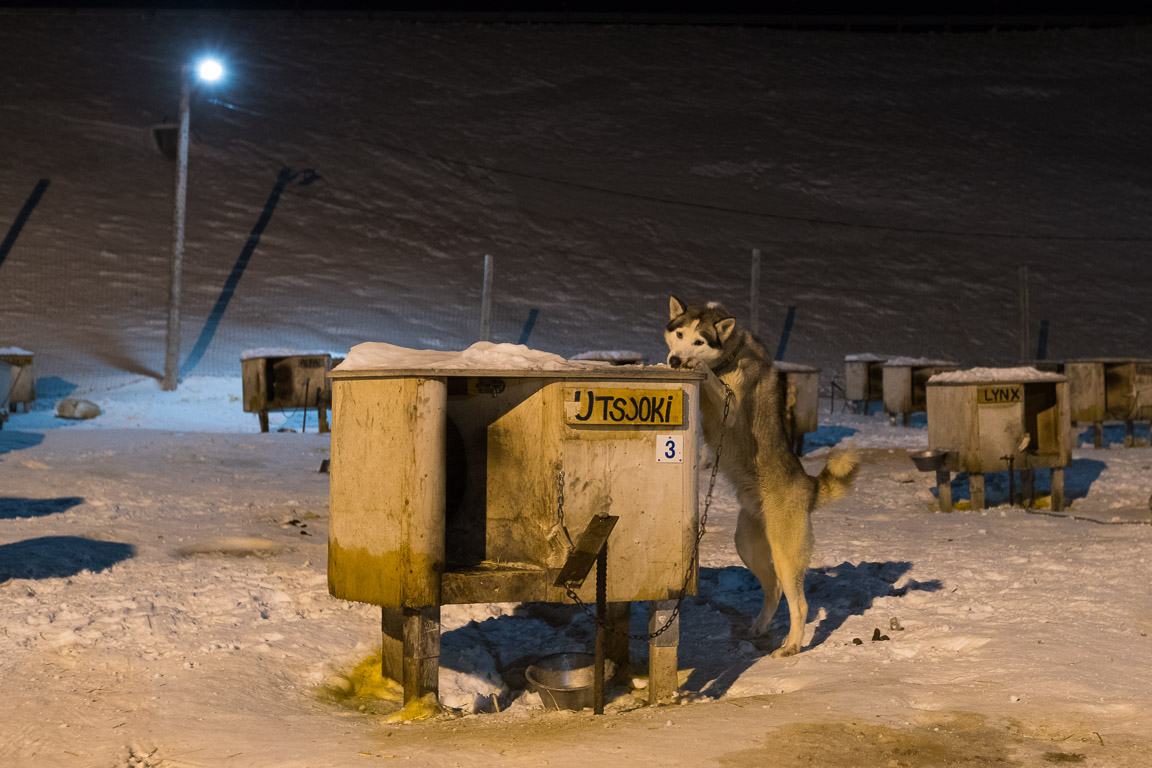 Utsjoki är en vacker plats i norra Finland