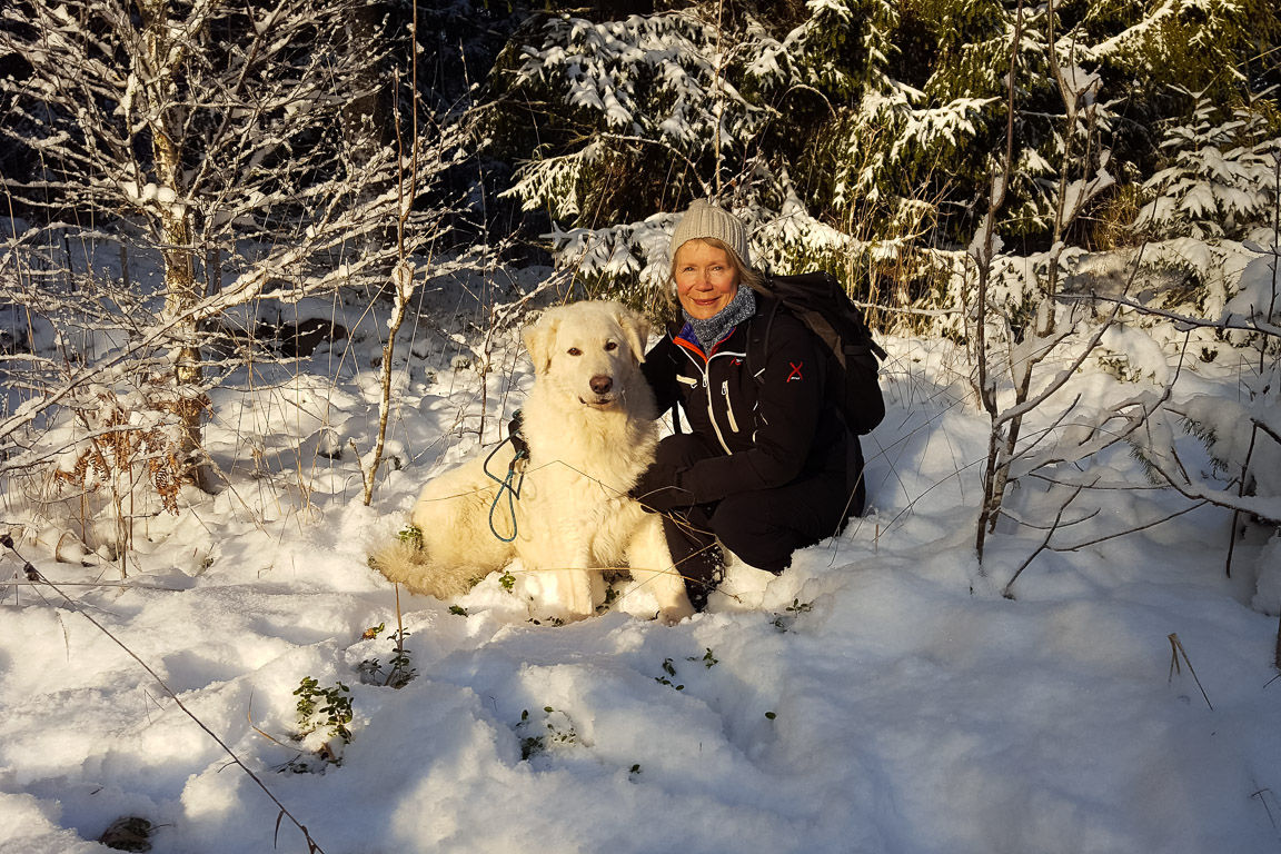 Härligt i solen