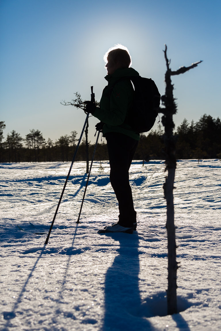 Blå himmel och sol