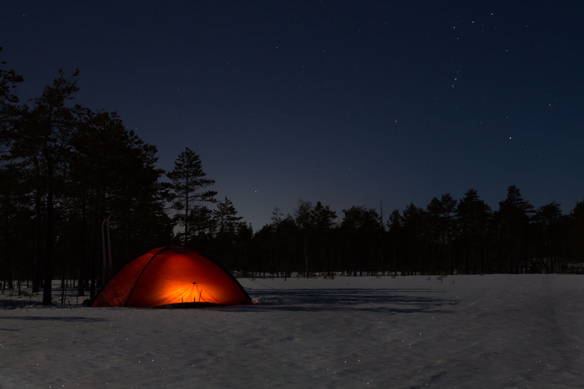 Skymning på myren