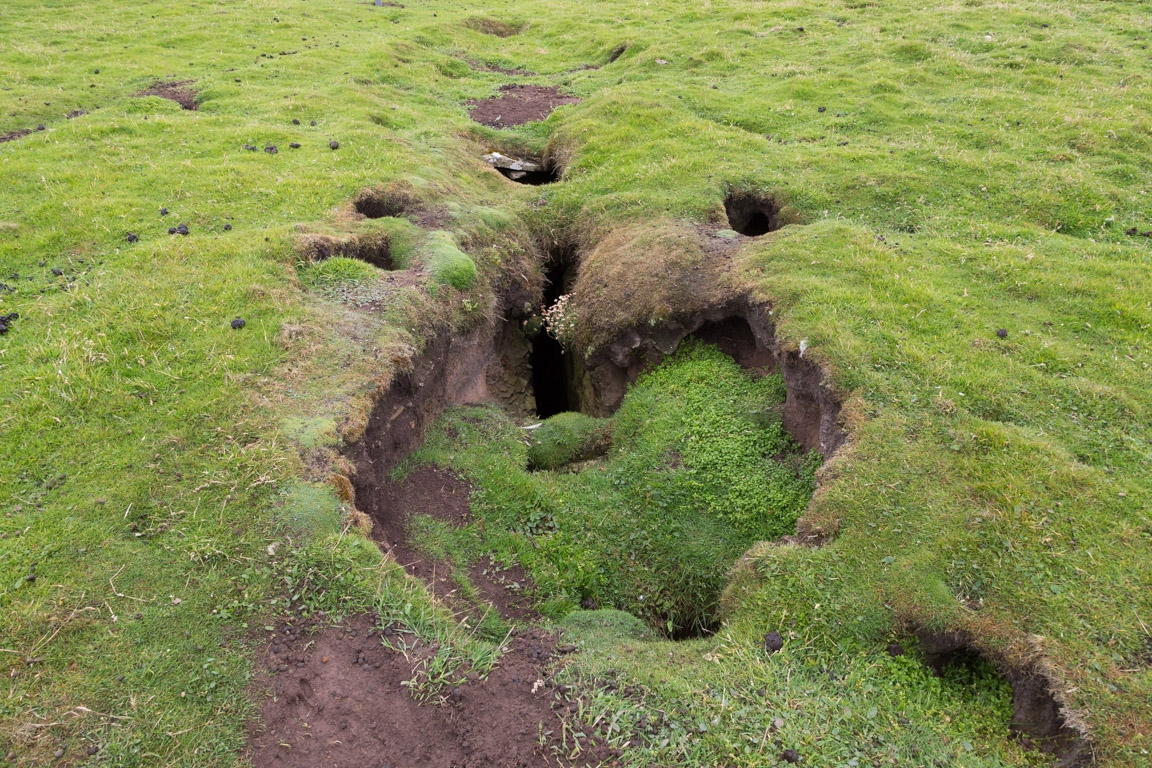 Gloup hole och kaninhål