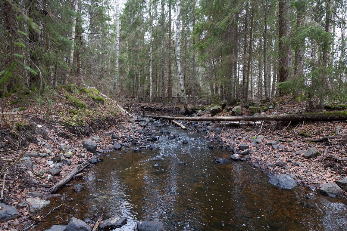 Den lilla ån