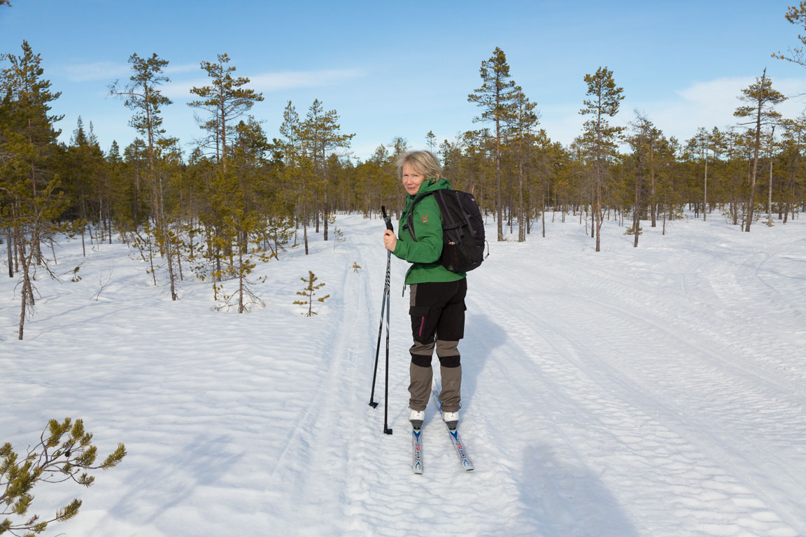 Njutbart på myren