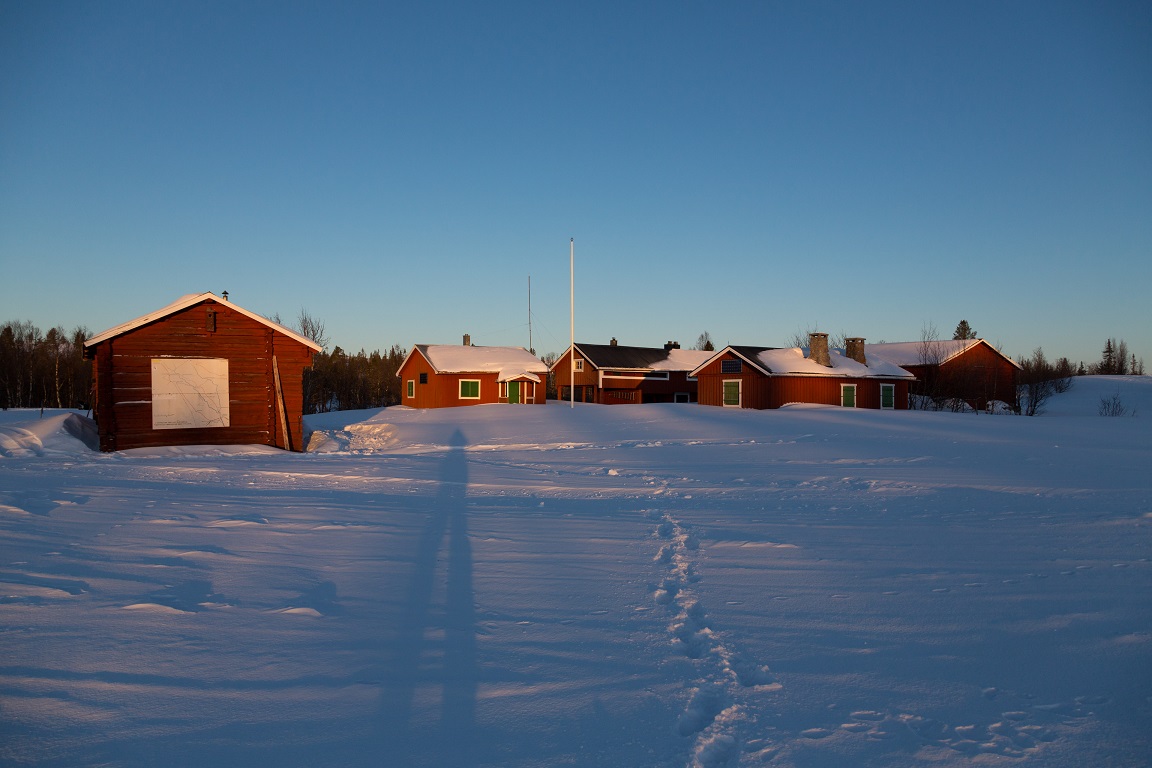 Gården i morgonljus