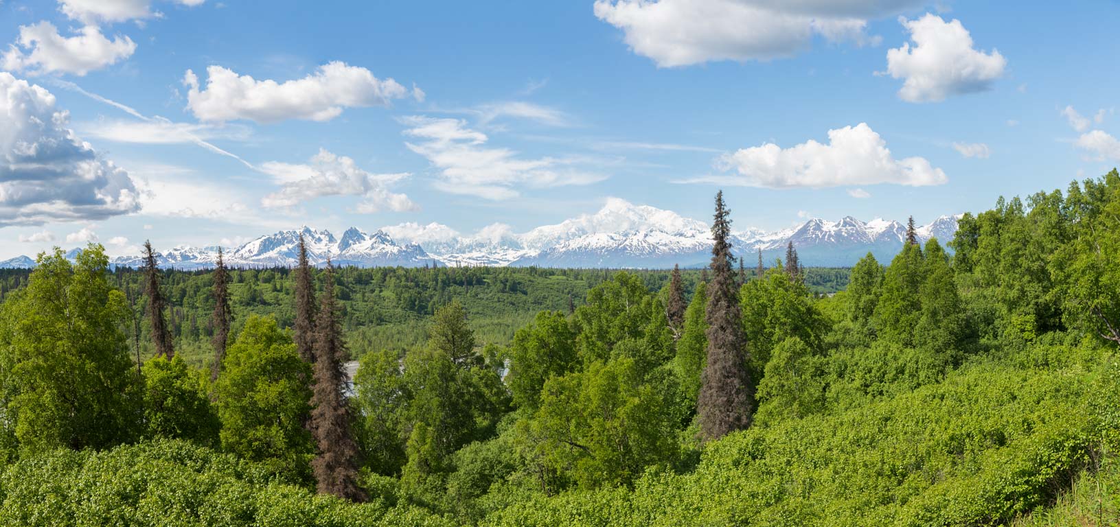 Denali South Viewpoint