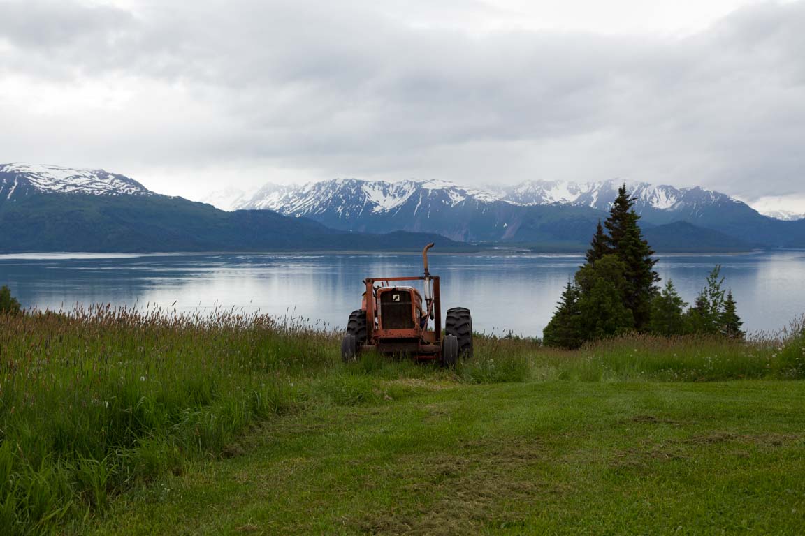 Äng ned mot Kachemak Bay