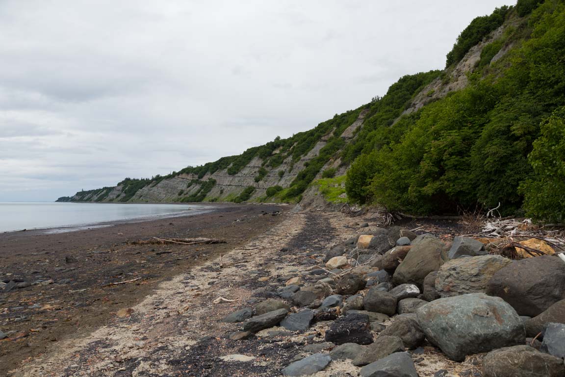 Kolbitar på stranden