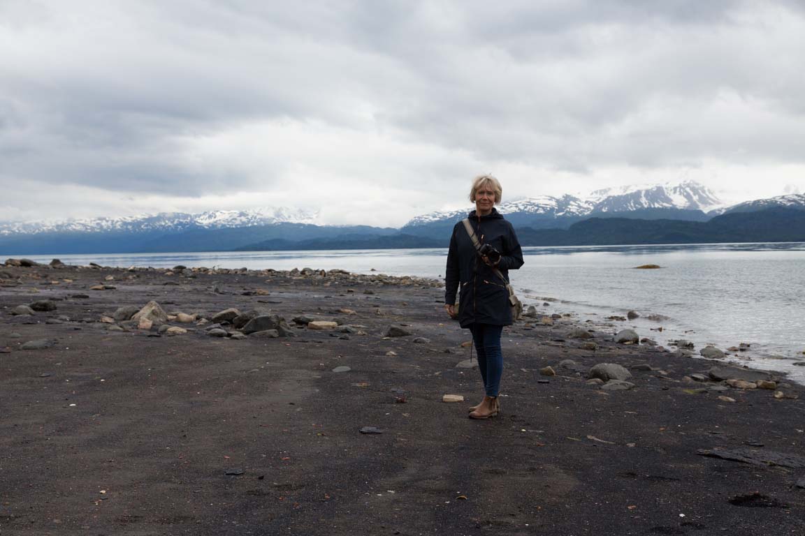 Gunsan vid Kachemak Bay