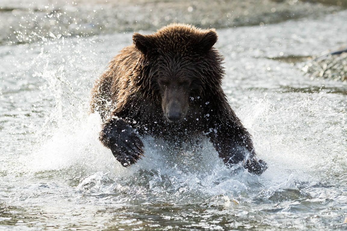 A moment of intense fishing.….