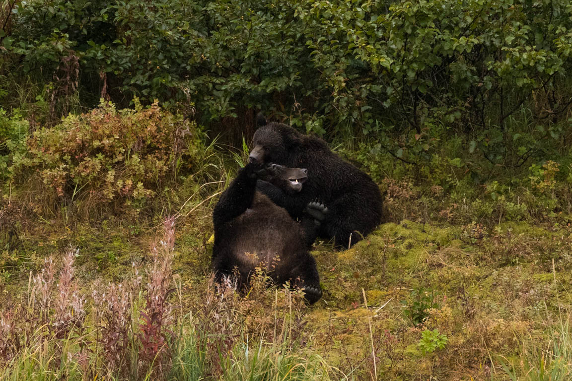 Lek med mamma