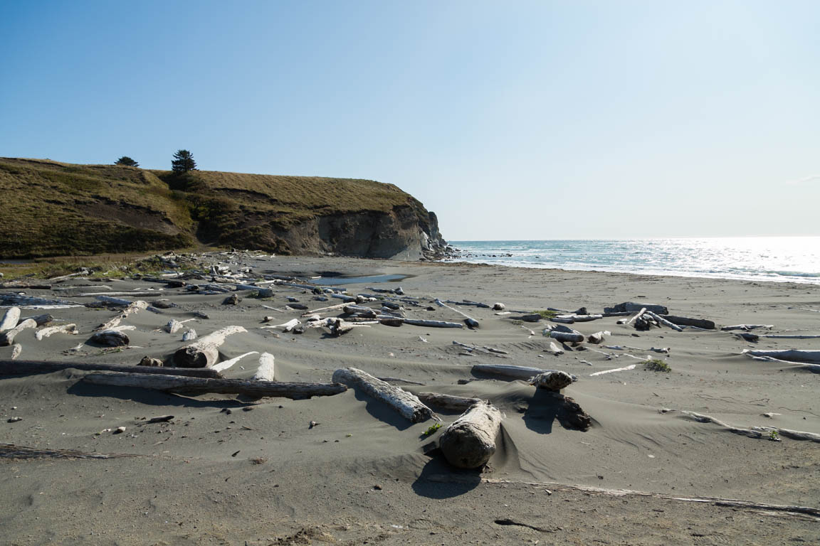 Fossil Beach