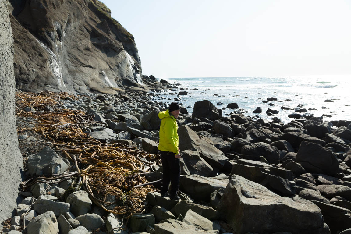 Vid Fossil Beach's porösa lavaklippor