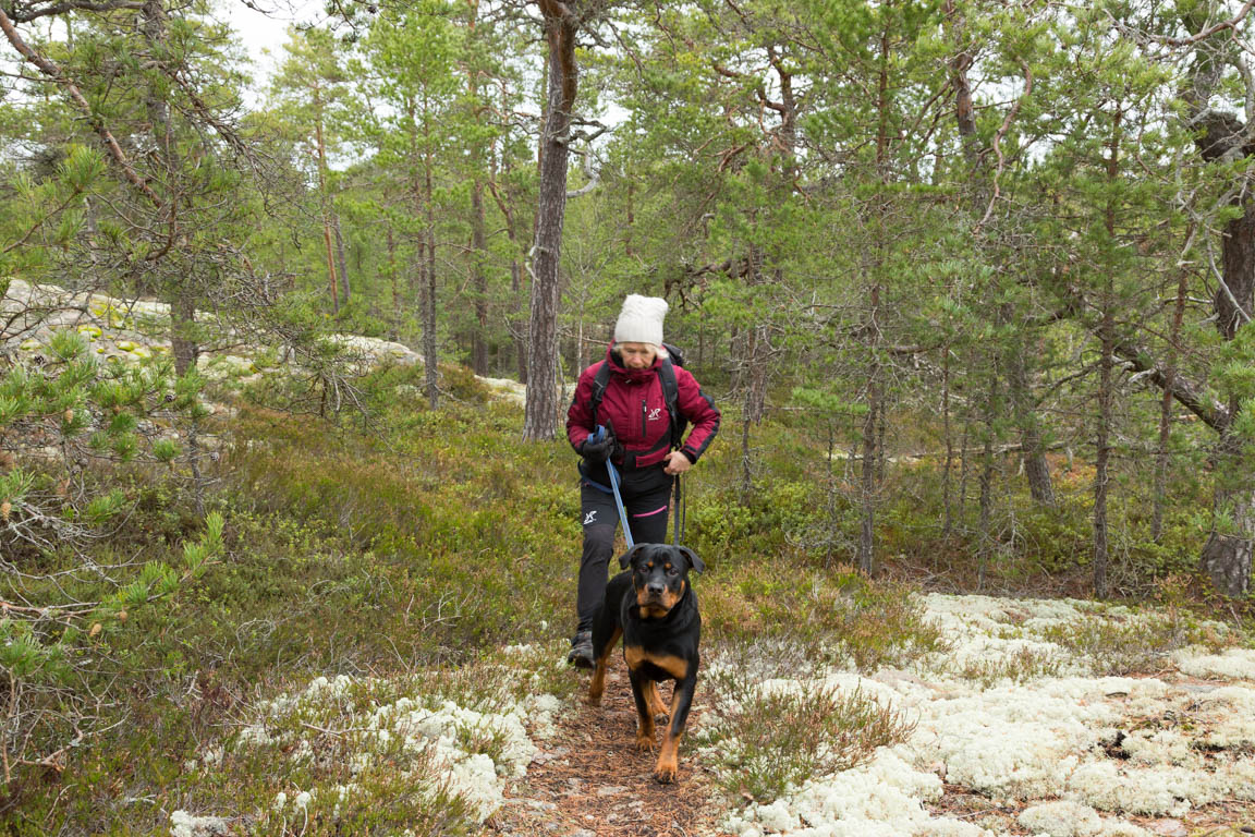 Kuperad terräng