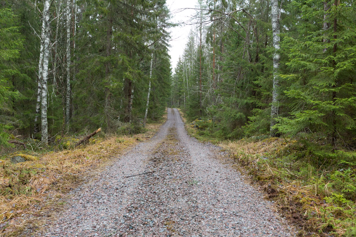 Skogsväg