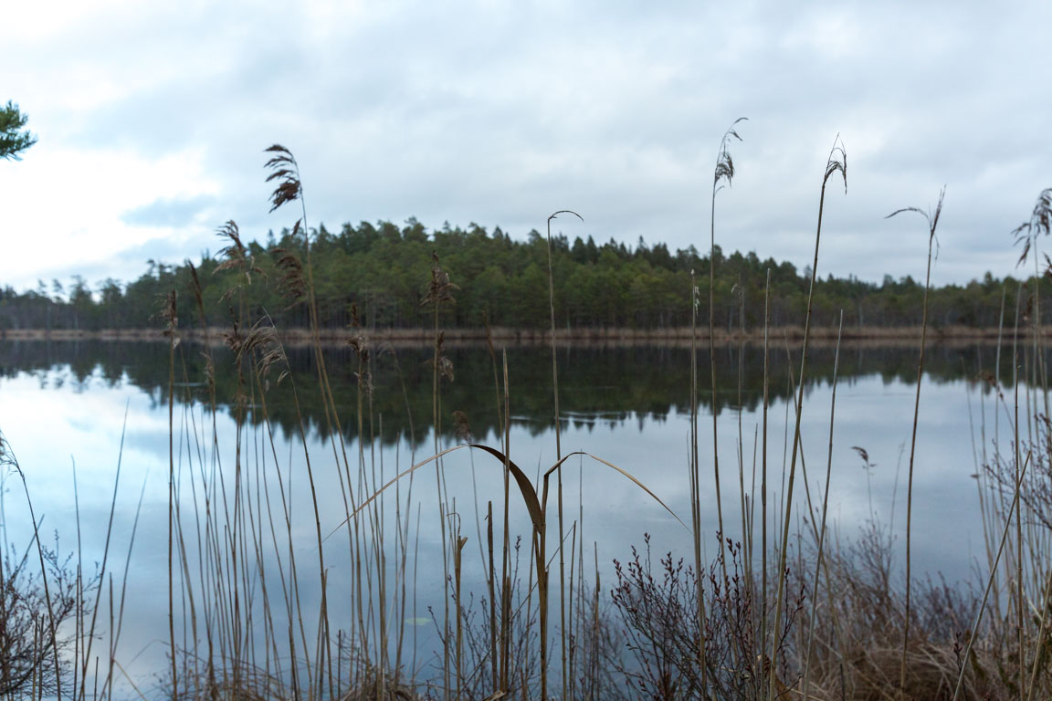 Isbelagd sjö