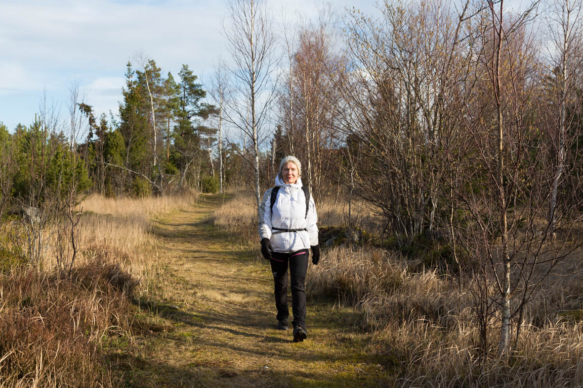 Över gamla odlingsmarker