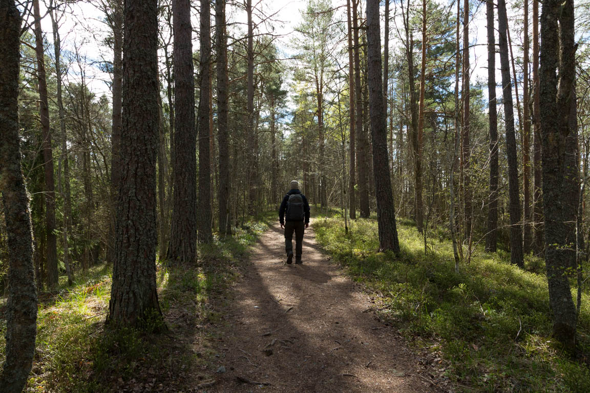 På åsen