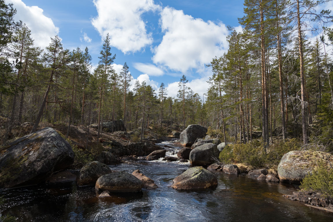 Ej flottad å