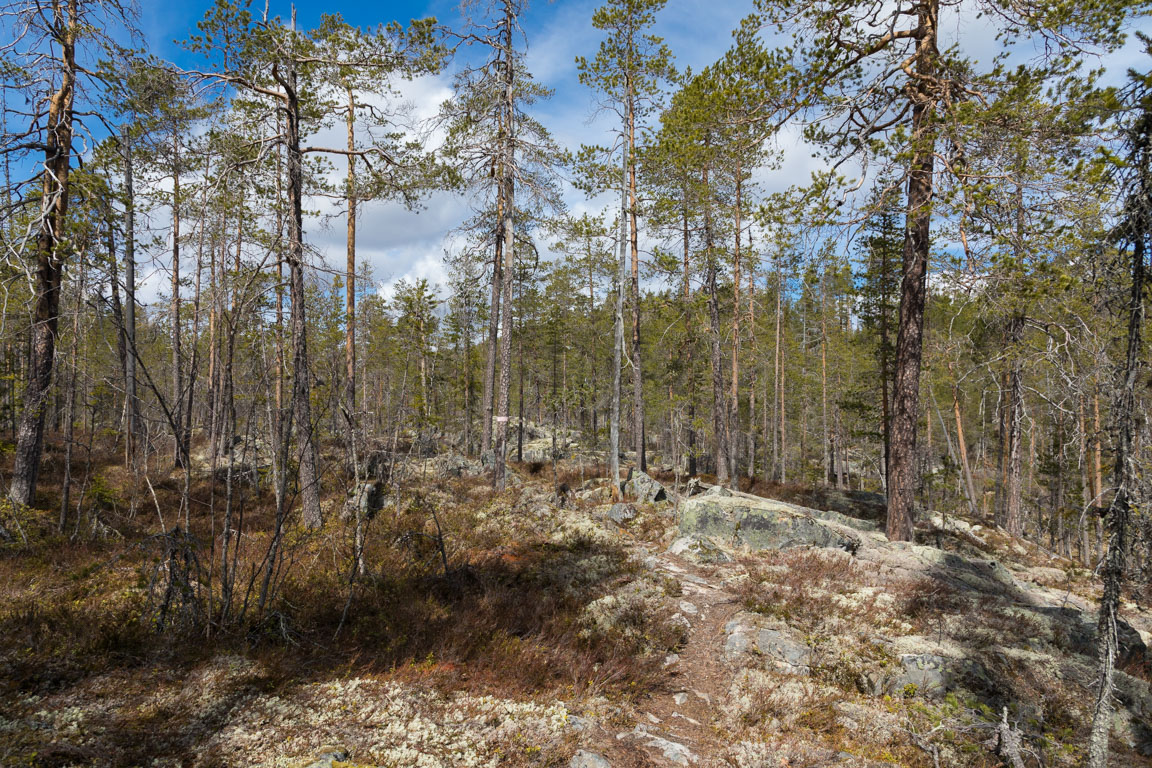 Vandringsled